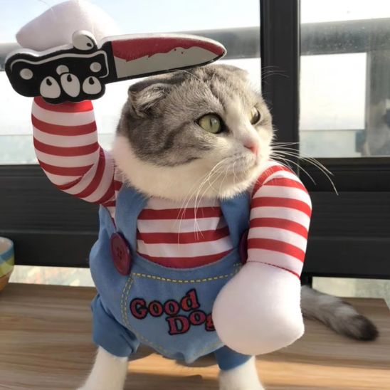 deguisement pour chat peur