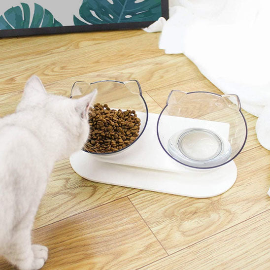 gamelle chat avec chat blanc qui mange