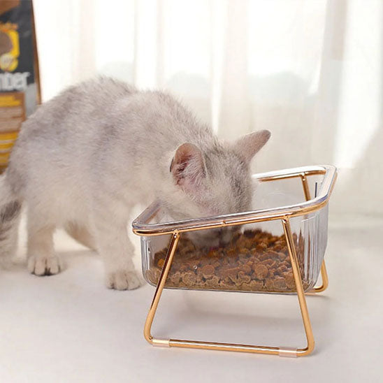 gamelle chat avec des croquettes