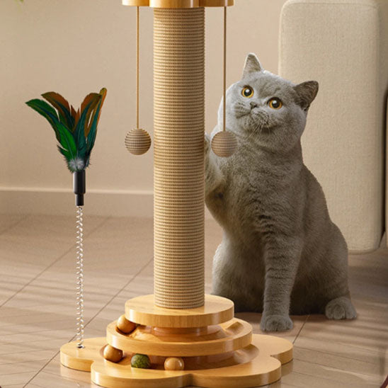 griffoir chat avec chat gris qui joue