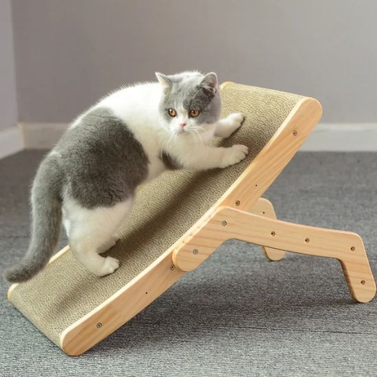 griffoir chat incline