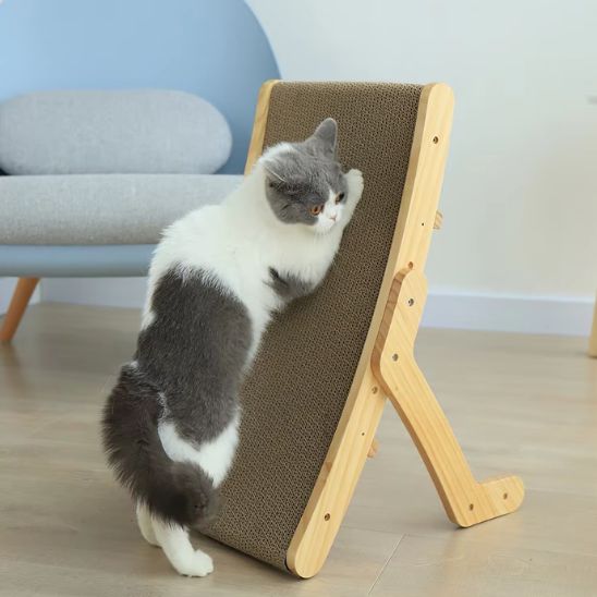 griffoir chat vertical