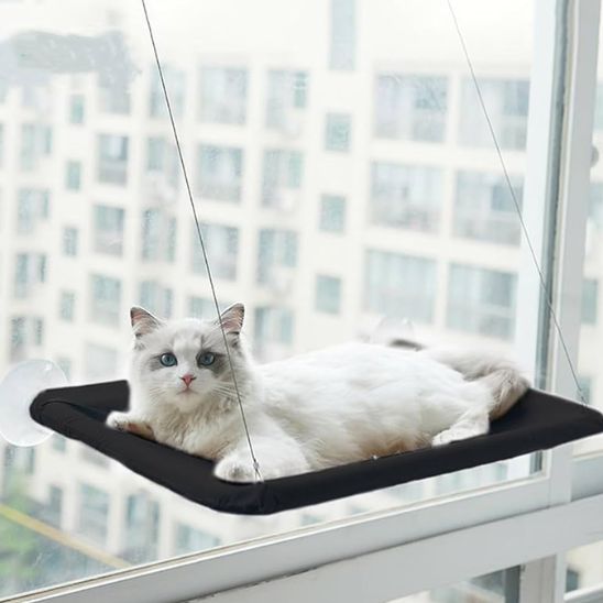 hamac pour chat avec chat blanc