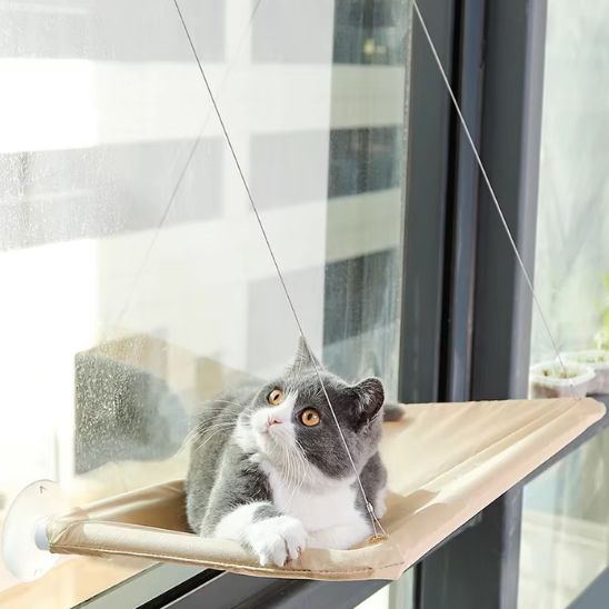 hamac pour chat avec chat gris