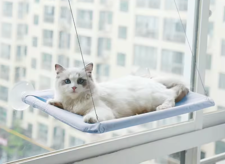 hamac pour chat bleu