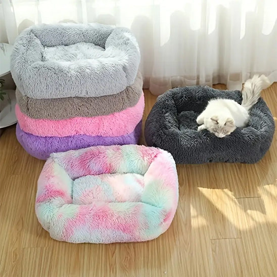 lit pour chat avec chat blanc a l interieur