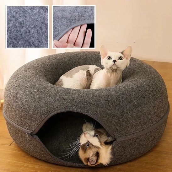 lit pour chat avec chat qui regarde