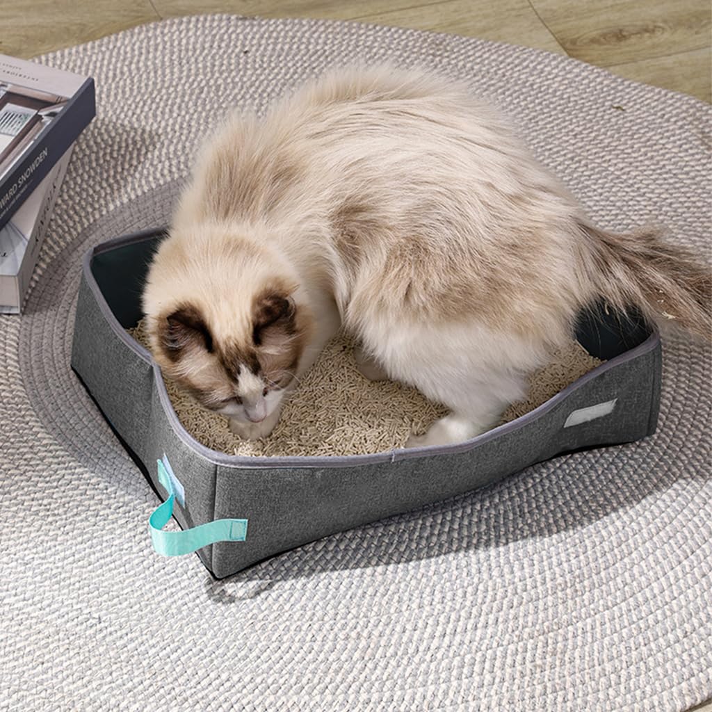 bac a litiere pour chat avec chat jouant dedans