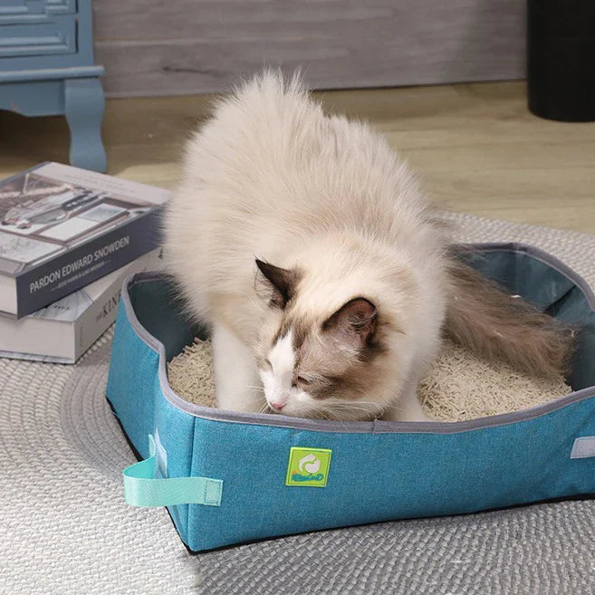 bac a litiere pour chat bleu avec chat dedans