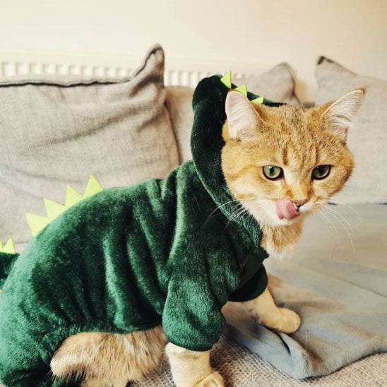 deguisement pour chat avec chat qui a la langue sortie