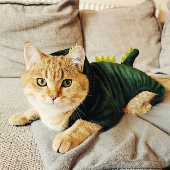 deguisement pour chat sans capuche
