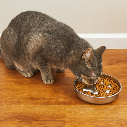 gamelle anti glouton chat plan americain