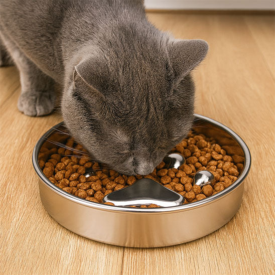 gamelle anti glouton chat plan rapprocher