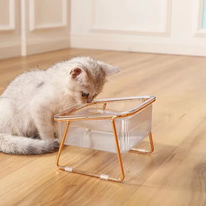 gamelle chat avec chat qui regarde l eau
