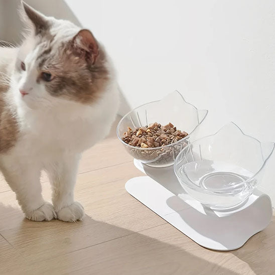 gamelle chat plan rapprocher