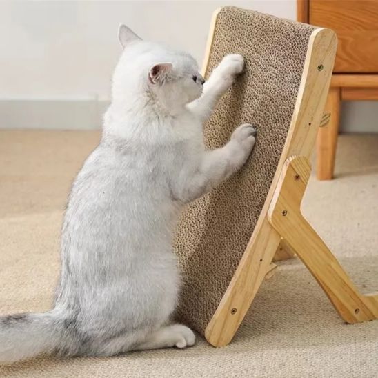 griffoir chat avec chat qui griffe