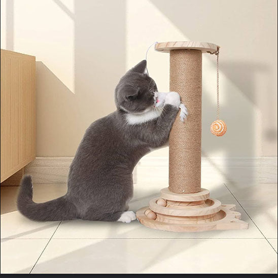griffoir chat avec chat qui le griffe