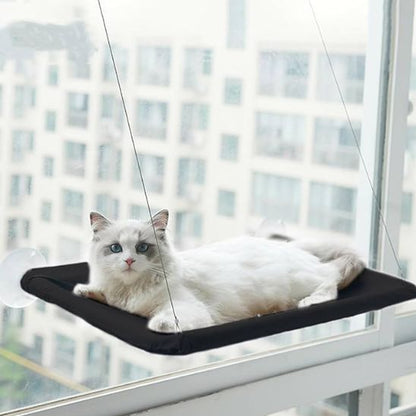 hamac pour chat avec chat blanc