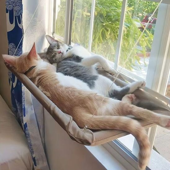 hamac pour chat avec deux chats