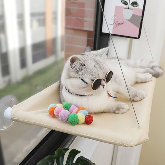 hamac pour chat fun