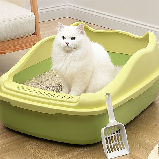 bac à litière chat | CatVeo™