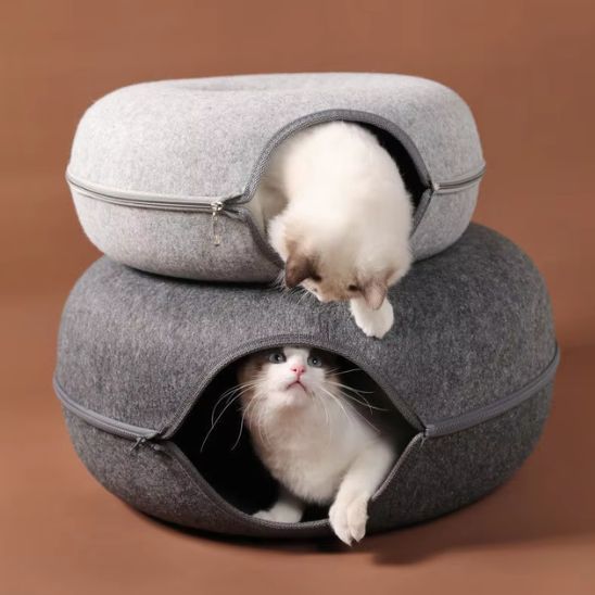 lit pour chat avec chat qui joue